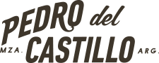 PEDRO DEL CASTILLO | Sin Chamullo SOLO VINO